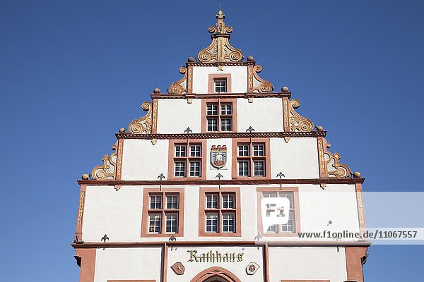 Town hall gable  Bad Salzuflen  North Rhine-Westphalia  Germany  Europe