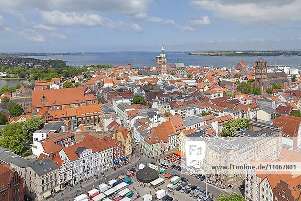 Aussicht vom Turm der Marienkirche auf die Altstadt  Stralsund  Mecklenburg-Vorpommern  Deutschland  Europa