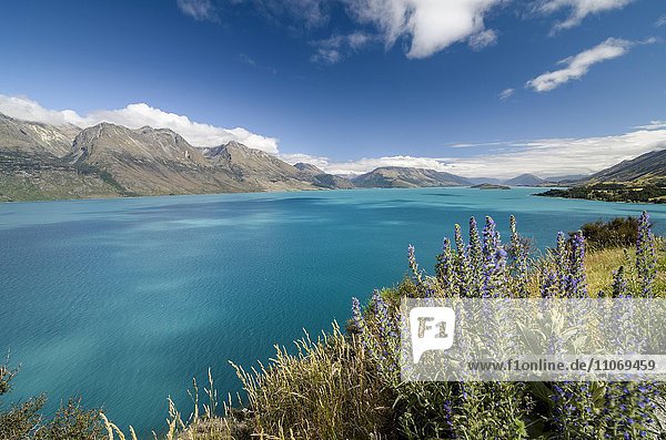 Türkiser See  Lake Wakatipu  hinten Bergpanorama Remarkables Otago  nahe Queenstown  Südprovinz  Neuseeland  Ozeanien