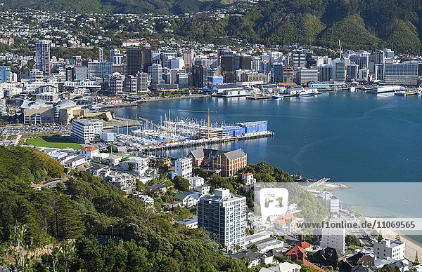 Stadtansicht  Ausblick vom Mt. Viktoria auf Hochhäuser im Citycenter und Hafen von Wellington  Nordinsel  Neuseeland  Ozeanien