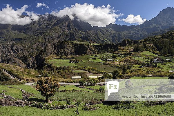 Caldera Cirque de Cilaos  Felder bei Cilaos  UNESCO Weltnaturerbe  La Reunion  Afrika