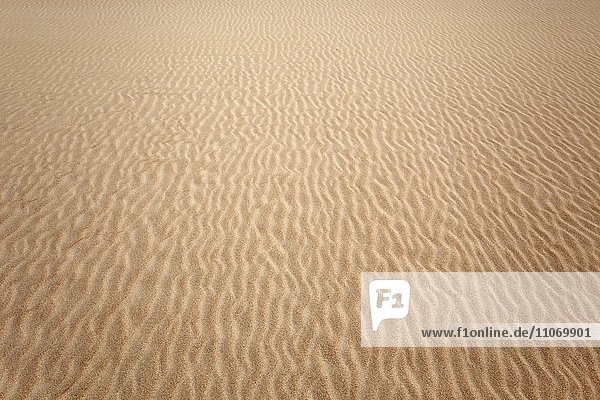 Strukturen im Sand  Parque Natural de Corralejo  Fuerteventura  Kanarische Inseln  Spanien  Europa
