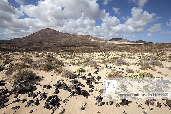 Karge Landschaft im südlichen Bereich des Parque Natural de Corralejo  Fuerteventura  Kanarische Inseln  Spanien  Europa