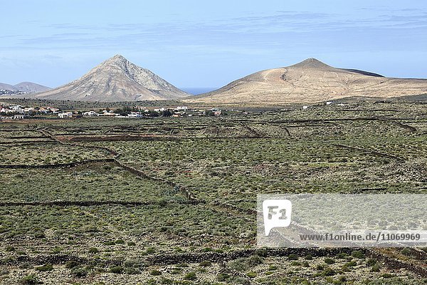 Landschaft bei La Oliva  hinten der Ort La Oliva und Vulkanberge  Fuerteventura  Kanarische Inseln  Spanien  Europa