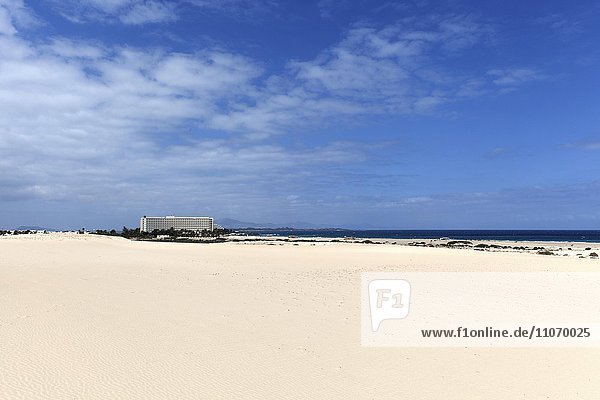 Weiße Sanddünen im Wanderdünengebiet El Jable  Las Dunas de Corralejo  Parque Natural de Corralejo  hinten Riu-Hotel  Fuerteventura  Kanarische Inseln  Spanien  Europa