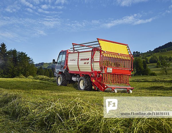 Transporter Unitrac mit Heuladewagen nimmt das getrocknete Gras auf  Hopfgarten  Brixental  Tirol  Österreich  Europa