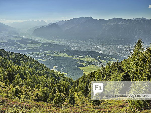 Ausblick auf das Inntal und Innsbruck vom Zirbenweg  Patscherkofel  Innsbruck  Tirol  Österreich  Europa