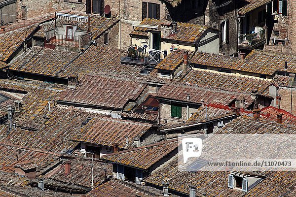 Ausblick vom Turm Torre del Mangia auf die Dächer der Altstadt  Siena  Provinz Siena  Toskana  Italien  Europa