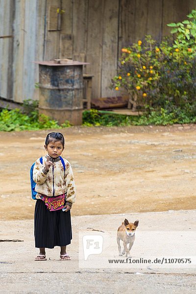 Kleines Mädchen mit Hund auf der Straße  Luang Prabang  Louangphabang  Laos  Asien