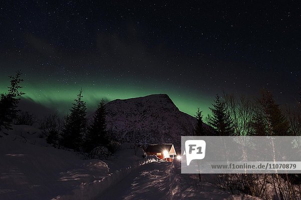 Nordlichter oder Aurora borealis über dem Berg Vatterfjordtinden  Lofoten  Nordland  Norwegen  Europa