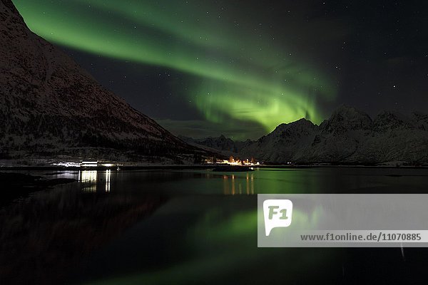 Nordlichter oder Aurora borealis über dem Vatterfjord  Lofoten  Nordland  Norwegen  Europa