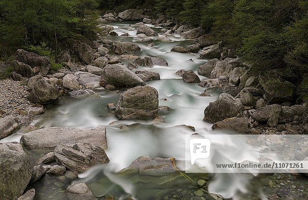Bachlauf vom Verzasca Fluss  Verzascatal  Tessin  Schweiz  Europa