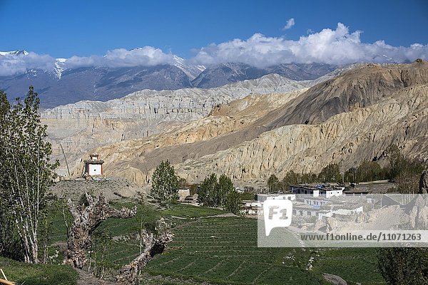 Berglandschaft  Erosionslandschaft mit kleinem Dorf  Stupa und grünen Feldern  Yara  Königreich Mustang  Upper Mustang  Himalaya  Nepal  Asien