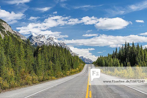 Fernstraße Icefields Parkway  Highway 93  kanadische Rocky Mountains  Alberta  Kanada  Nordamerika