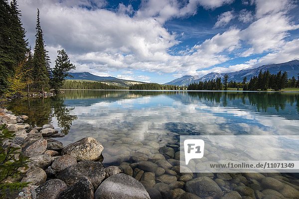 Lac Beauvert  Beauvert Lake  Jasper National Park  Canadian Rockies  Alberta Province  Canada  North America