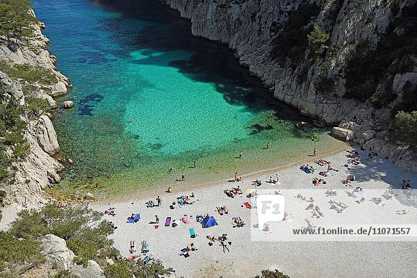 Touristen am Strand mit türkisblauem Wasser  Calanque d'en Vau  Nationalpark Calanques  Provence  Frankreich  Europa