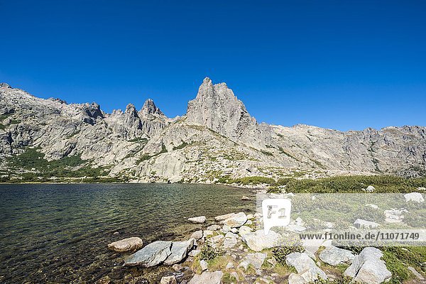 Bergsee Lac de Melo  dahinter Gebirge  Restonica Hochtal  Corte  Département Haute-Corse  Korsika  Frankreich  Europa