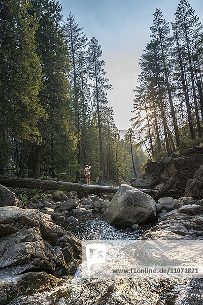 Junger Mann überquert auf Baumstamm den Fluss Merced River  Mist Trail  Yosemite-Nationalpark  Kalifornien  USA  Nordamerika