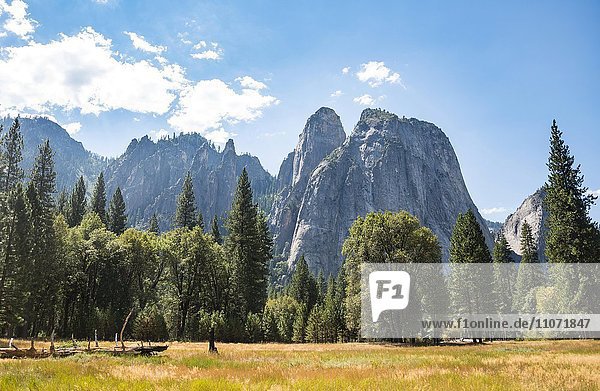 Sumpflandschaft im Yosemite Valley  Yosemite National Park  UNESCO World Heritage Site Kalifornien  USA  Nordamerika