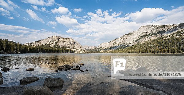 Tenaya Lake  Yosemite National Park  California  USA  North America