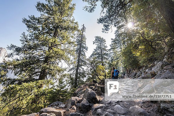 Wanderin  Frau wandert am John Muir Trail  Yosemite National Park  Kalifornien  USA  Nordamerika