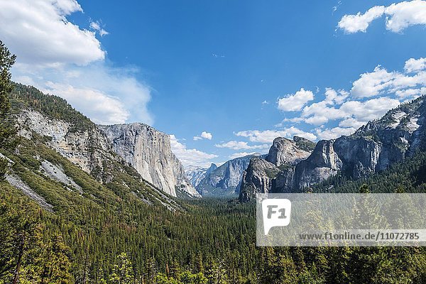 Ausblick ins Tal  Yosemite Valley  Tunnel View  El Capitan  Yosemite National Park  Kalifornien  USA  Nordamerika