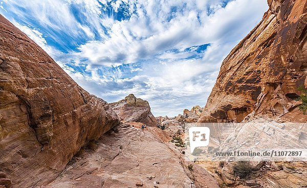 Rot orange Sandsteinfelsen Wanderweg White Dome Trail Valley of Fire State Park Mojave Wüste Nevada USA Nordamerika