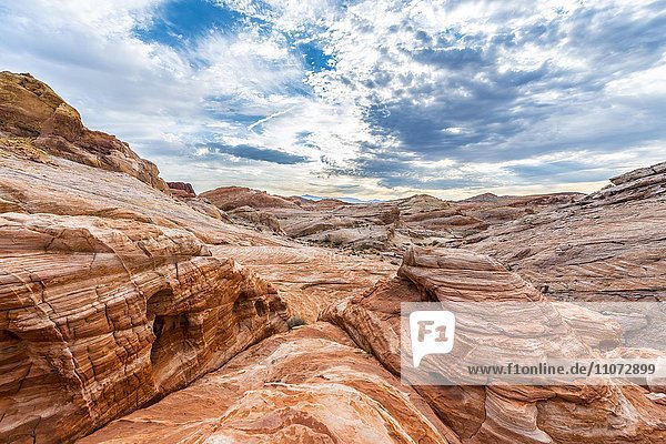 Rot orange Sandsteinfelsen  Valley of Fire State Park  Mojave Wüste  Nevada  USA  Nordamerika