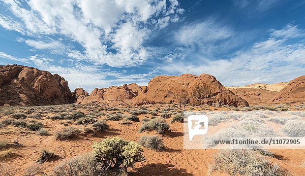 Rainbow Vista  Red orange sandstone rock  Mojave Desert  Valley of Fire State Park  Nevada  USA  North America