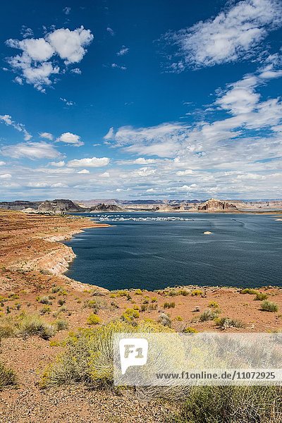 Lake Powell with Wahweap Marina  Arizona  USA  North America