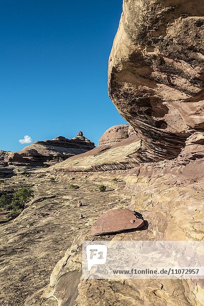 Felsformation  The Needles District  Canyonlands Nationalpark  Utah  USA  Nordamerika