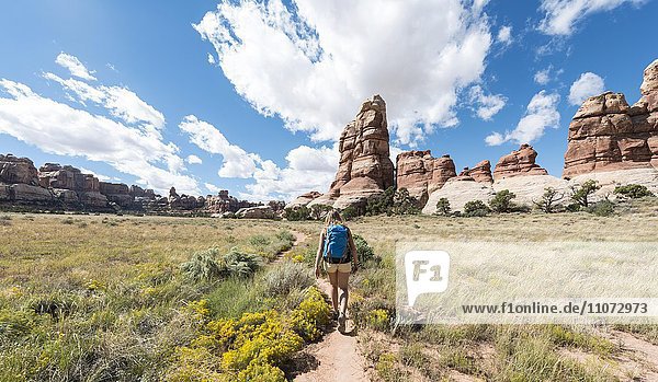 Hiker on a trail through rock formations  The Needles District  Canyonlands National Park  Utah  USA  North America