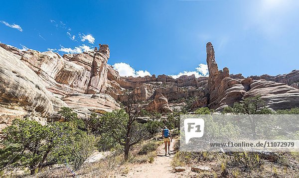 Wanderin auf einem Wanderweg durch Felsformationen  The Needles District  Canyonlands Nationalpark  Utah  USA  Nordamerika