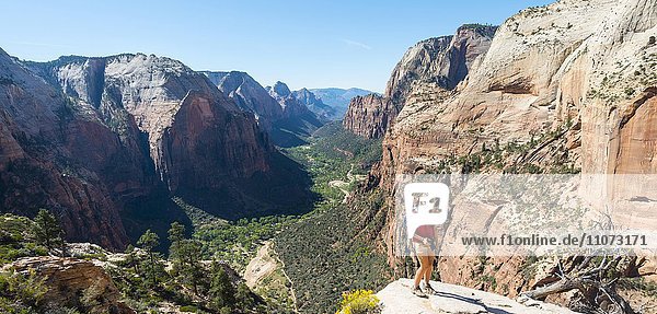 Wanderin bei Aussichtspunkt  Angels Landing  Zion Canyon  Zion Nationalpark  Utah  USA  Nordamerika