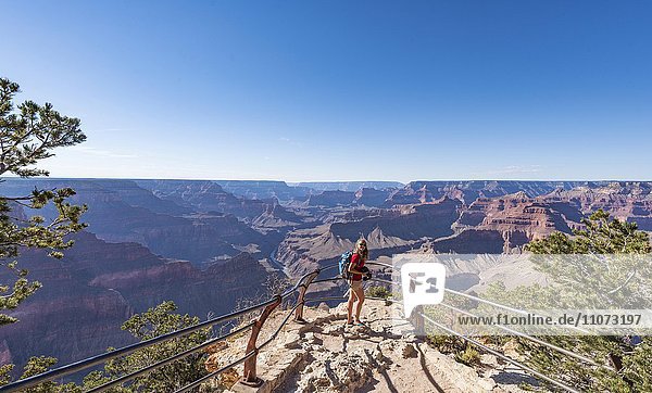 Wanderin an einem Aussichtspunkt  South Rim  Grand Canyon  Arizona  USA  Nordamerika