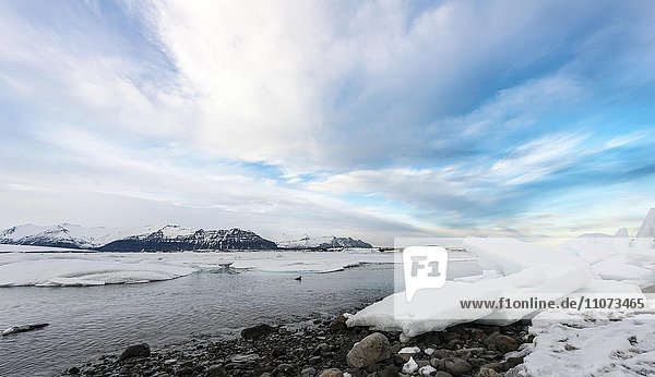 Ice floes  Jökulsárlón glacier lagoon  southern edge of Vatnajökull  Eastern Region  Iceland  Europe