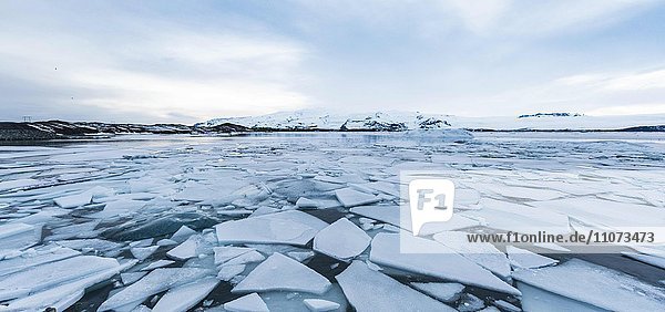 Eisschollen  Gletscher Lagune Jökulsárlón  Gletschersee  Südrand des Vatnajökull  Südosten  Island  Europa