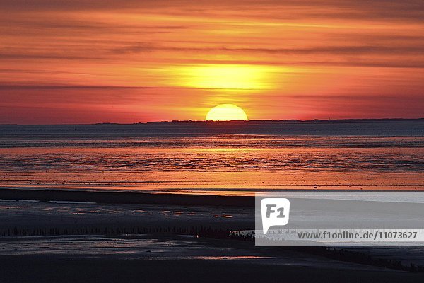 Sonnenuntergang  Wattenmeer mit der Silhouette von Langeoog  Neuharlingersiel  Ostfriesland  Niedersachsen  Deutschland  Europa