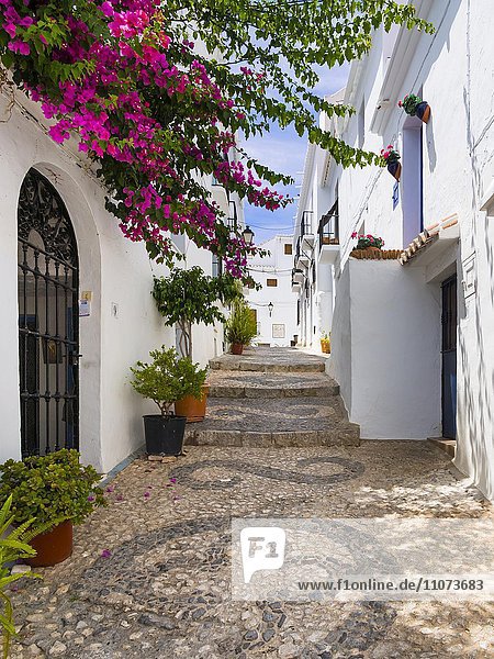 Weiße Häuser in enger Gasse  Frigiliana  Costa del Sol  Andalusien  Spanien  Europa