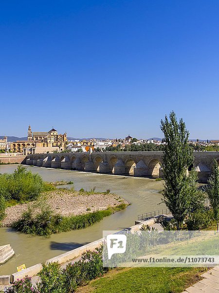 Römische Brücke  Puente Romano über den Rio Guadalquivir hinten Mezquita  Kathedrale  Cordoba  Andalusien  Spanien  Europa