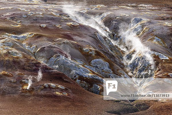 Solfataren  Dampfquellen im Geothermalgebiet von Hverarönd  Namafjall  Island  Europa