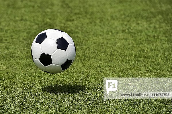 Wischbild schwarzweisser Fußball  Lederball und Rasen
