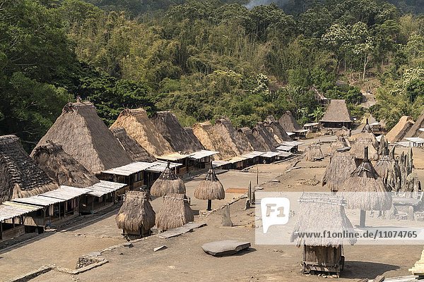 Dorfplatz mit Schreinen und traditionelle strohgedeckte Holzhäuser im Ngada-Dorf Bena  Bajawa  Flores  Indonesien  Asien