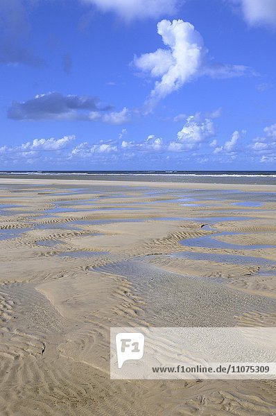 Sandstrand bei Ebbe mit wellenartigem Muster  Rippel oder Strömungsrippel  Juist  Ostfriesische Inseln  Niedersachsen  Deutschland  Europa