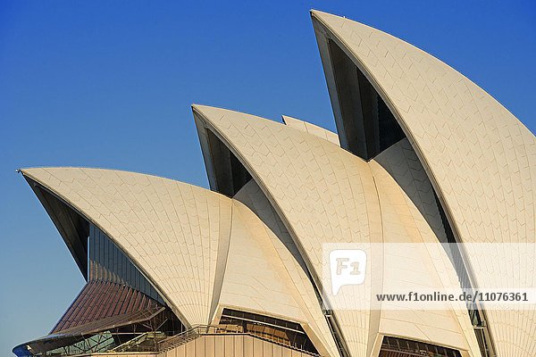 Sydney Opera House  Opernhaus  Oper  Detail  Sydney  New South Wales  Australien  Ozeanien