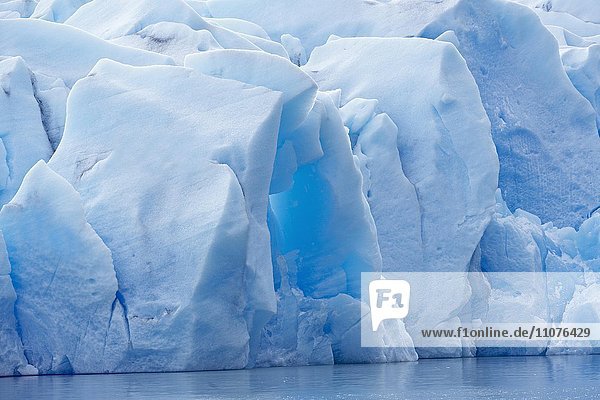 Eisschild vom Grey Gletscher am See Lago Grey  National Torres del Paine  Patagonien  Chile  Südamerika