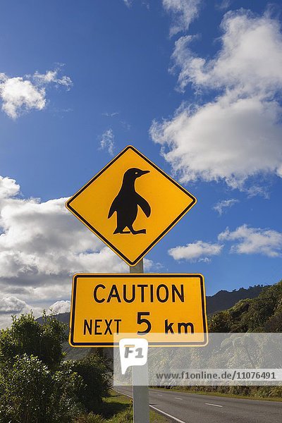 Warnschild  Pinguine kreuzen die Straße  Schild  Westküste  Südinsel  Neuseeland  Ozeanien