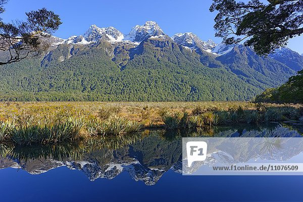Lake Matheson mit Reflexionen der Berge  Fiordland-Nationalpark  Milford Sound  Südinsel  Region Southland  Neuseeland  Ozeanien