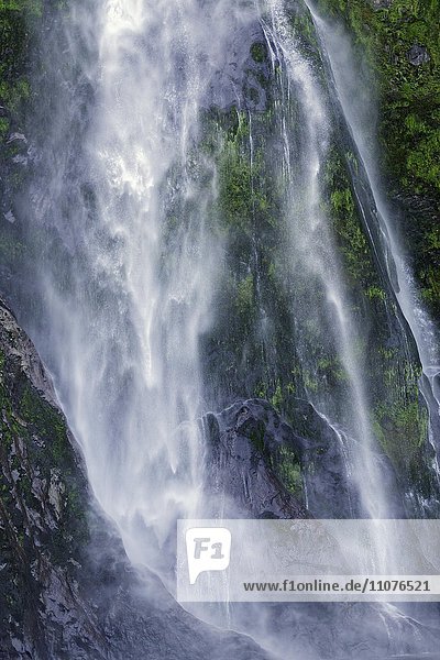 Wasserfall  Milford Sound  Fiordland-Nationalpark  Südinsel  Region Southland  Neuseeland  Ozeanien