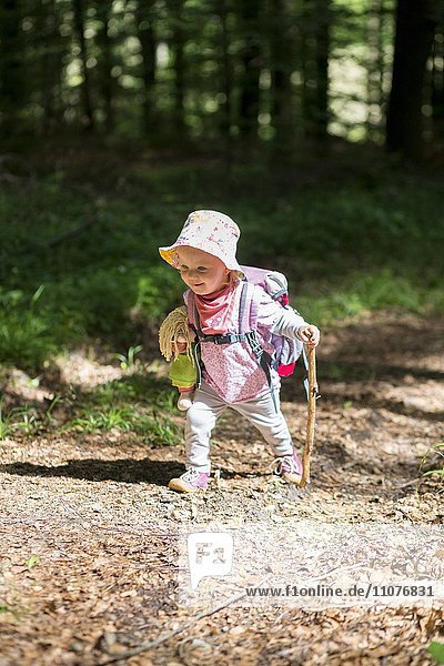 Kleinkind mit Puppe und Spazierstock beim Wandern durch den Wald  Allensbach  Bodensee  Deutschland  Europa